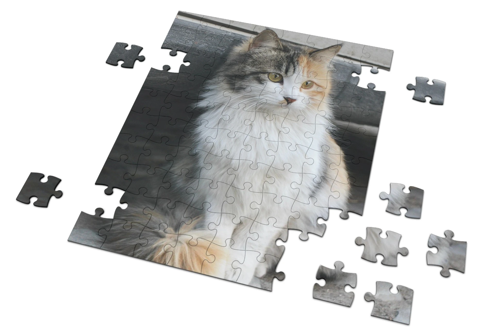 Puzzle